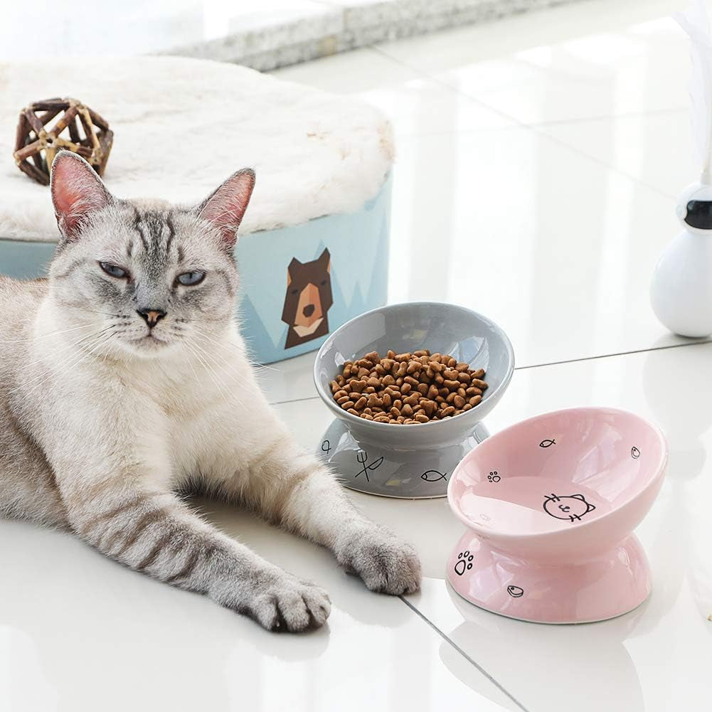 Elevated Pink Ceramic Cat Bowls - Stress-Free Slanted Design for Food & Water, Protects Cat's Spine with Backflow Prevention
